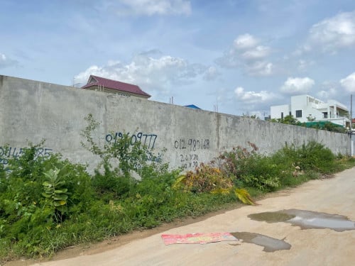 ដីសម្រាប់ជួល រឺលក់