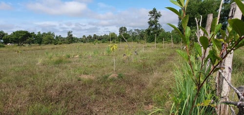 ដីលក់ 23 * 27