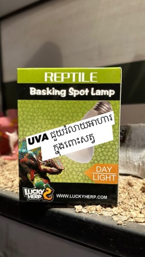 អំពូលកំដៅសត្វល្មូន UVA,UVB,Solar,Vitamin,Calcium