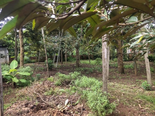 ផ្ទះលក់ 180000$ តម្លៃអាចចរចាបាន