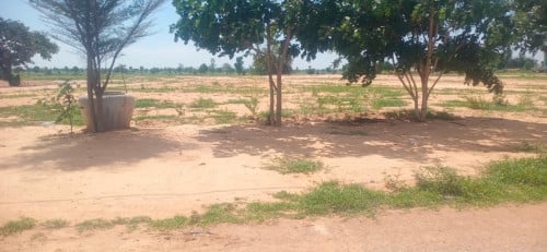 ដី១ហិកតាលក់បន្ទាន់