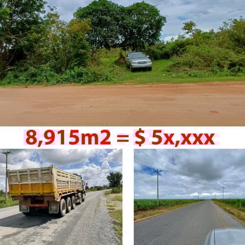 ដីលក់(ប្លង់រឹង) ជិតគីរីរម្យនៅ​លើផ្លូវ30m ក្បាលដីជាប់ផ្លូវជិត60m (012 26 29 25)