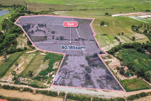 ដីសម្រាប់លក់ក្នុងស្រុកពួកខេត្តសៀមរាប/Land for Sale in Pouk District, Siem Reap Propvince