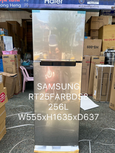 SAMSUNG RT25FARDBS8