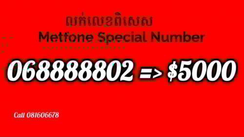លេខទូរស័ព្ទពិសេស
