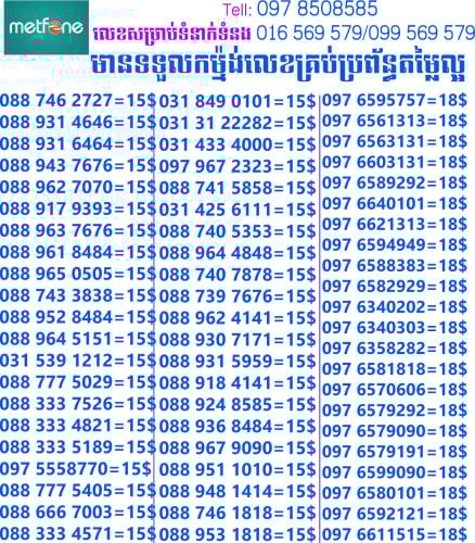 ស៊ីមលេខពិសេស