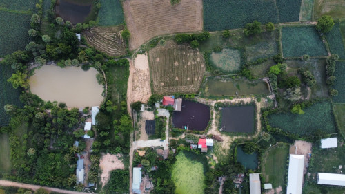 ដីលក់​ ក្បែរគម្រោង​  ផ្លូវ៦០ម​ក្រវ៉ាត់ក្រុងទី៣​