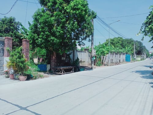 ដីវាលស្បូវលក់ឬជួល 7m x 41m (2km ពីស្ពានកោះពេជ្-កោះនរារ, 300mពីផ្លូវជាតិលេខ1