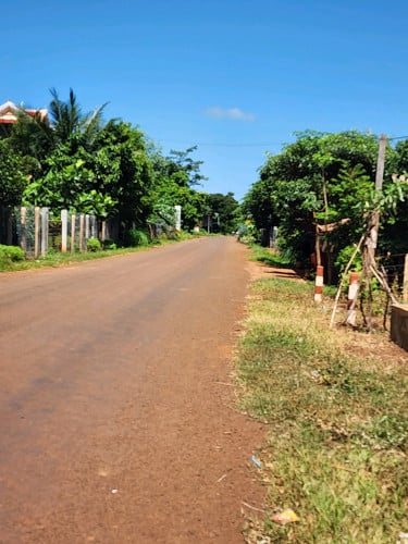 ដី​សាងសង់​ និងចំការលំហែ