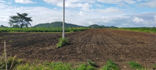 ដីចំការលក់