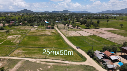 ដីស្រែម្ចាស់ខ្លួនឯងផ្ទាល់​ ប្លង់រឹង​ 25mx50m  ផ្លូវ30m ជិតផ្សារស្លាបលែង។