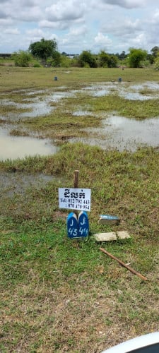 ដីលក់បន្ទាន់លុយ10×20ប្លង់រឹងត្រូវថ្លៃកាត់ប្លង់រឹងជួន