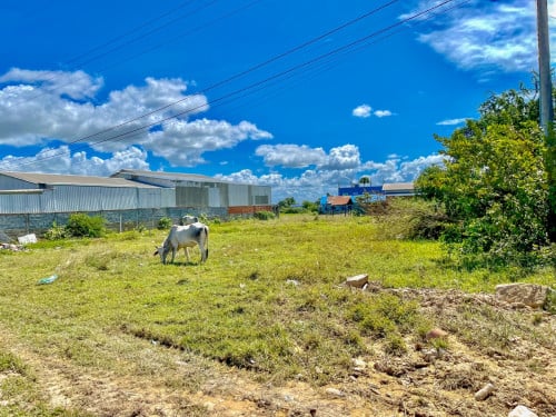 ដីសម្រាប់ជួល 土地出租 Land for rent (ជាប់ផ្លូវជាតិលេខ៤១ 41国道旁)