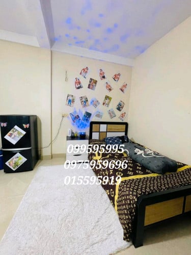 ឈុតដូចរូប ខ្នាត1,2ម ×2,0ម