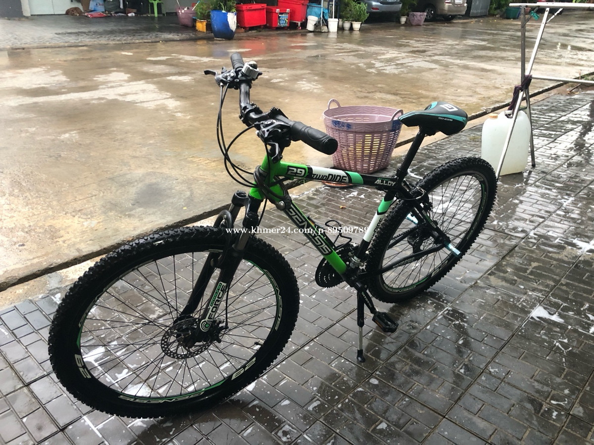 genesis two nine 29 mountain bike