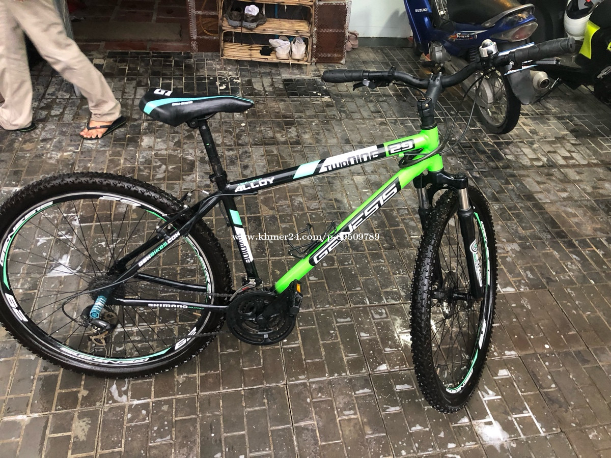 genesis two nine 29 mountain bike