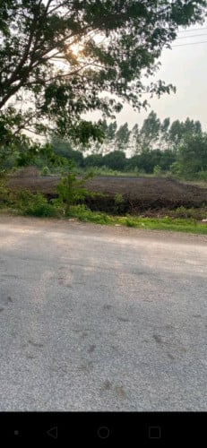 ដីលក់បន្ទាន់