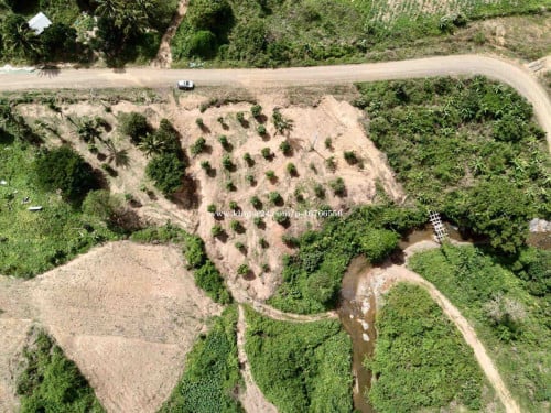 ដីចំការស្វាយ ប្លង់រឹង.ក្បែរភ្នំ1500 នៅជិតផ្លូវអន្ទង់អាំង. ជាប់ទឹកជ្រោះ veiws 360’ ជាប់ផ្លូវធំ