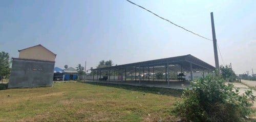 ដីលក់បន្ទាន់ខ្លាំង