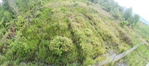 ដីលក់​ មានបង្កាន់ដៃ land for sale Kampot, Mak Prang, Hard​ ​Title receipt