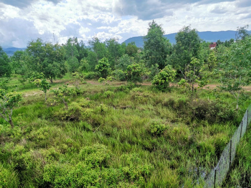 ដីលក់​ មានបង្កាន់ដៃ land for sale Kampot, Mak Prang, Hard​ ​Title receipt