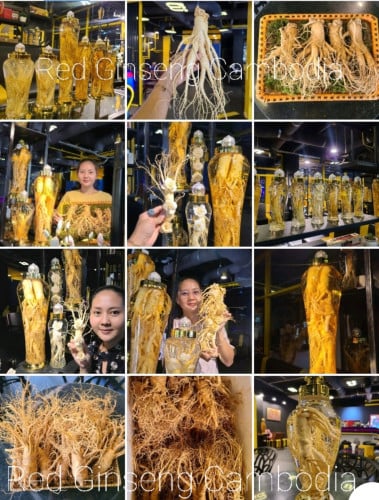 យិនស៊ិន ប៉ូវសុខភាព