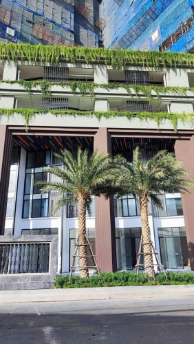 Shop house 4 Floor in TK