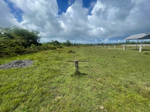 (លក់បន្ទាន់) ពី$240,000 មកត្រឹមតែ$135,000  ដីកែងក្រុងបូកគោ (ជាប់ផ្លូវជាតិលេខបី ពីបូកគោ ទៅកំពង់សោម)