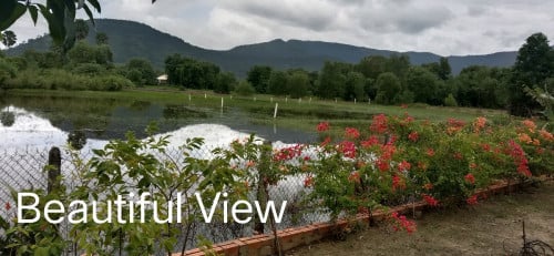 New house + separate bungalow, beautiful landscaping with fabulous view of Bokor mountain.