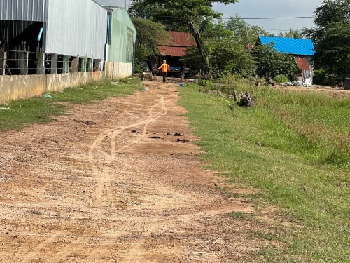 ដីលក់ប្រញ៉ាប់លុយដីខ្ញុំផ្ទាល់ 10,5mx30m ចុះពីផ្លូវបេតុ 100m ផ្លូវចូល ៦m