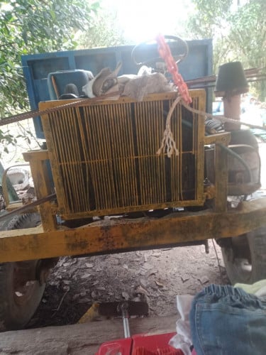 ឡានឆ្នៃ លក់