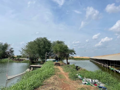 ដីលក់ 1ការ រ៉េ450$តនៅផ្លូវ 130 សង្កាត់ព្រែកព្នៅភូមិសំរោង ដីជាប់បុរីសំរោង