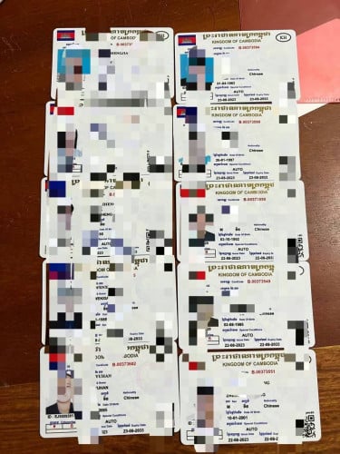 驾驶证 营业执照 劳工证 LITIAN VISA