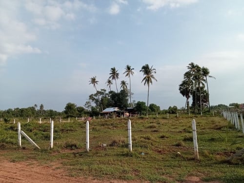 ផ្លូកាស៊ូ ម៉ាអែម ម្ចាស់ផ្ទាល