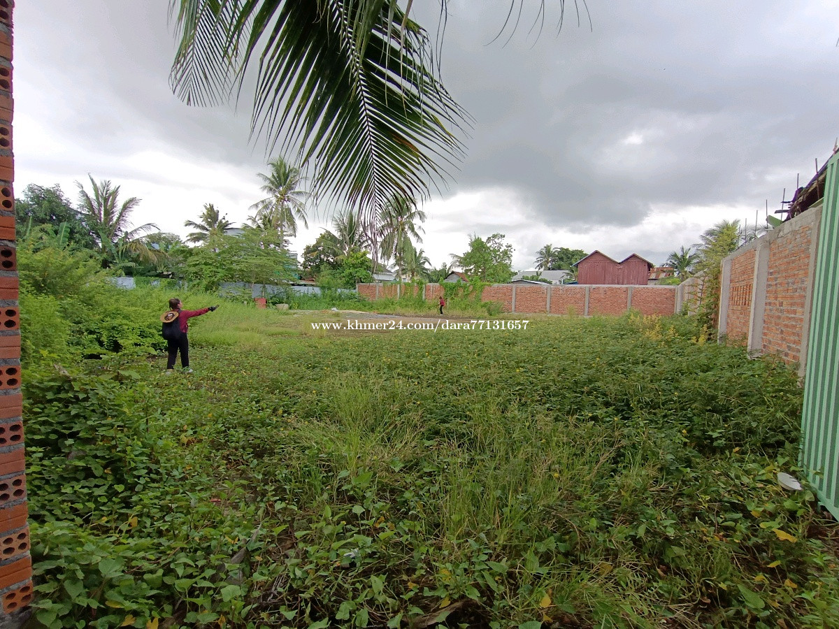 ដីលក់បន្ទាន់ Price 46500.00 in Tuol Ta Aek, Krong Battambang