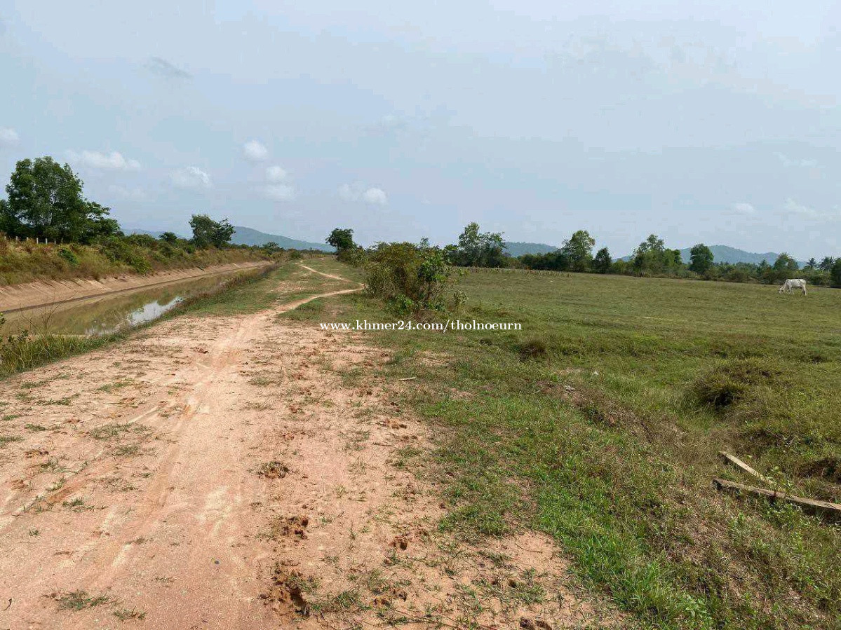 ដីលក់ តម្លៃក្រោមទីផ្សារ40 (កំពត) តំលៃ 51000.00 ក្នុង ព្រៃថ្នង, ទឹកឈូ
