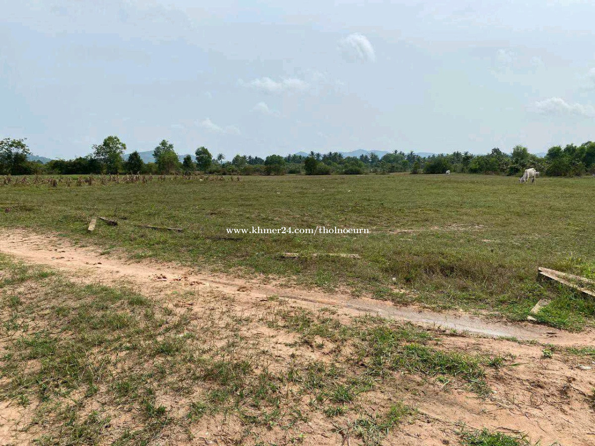 ដីលក់ តម្លៃក្រោមទីផ្សារ40 (កំពត) តំលៃ 51000.00 ក្នុង ព្រៃថ្នង, ទឹកឈូ