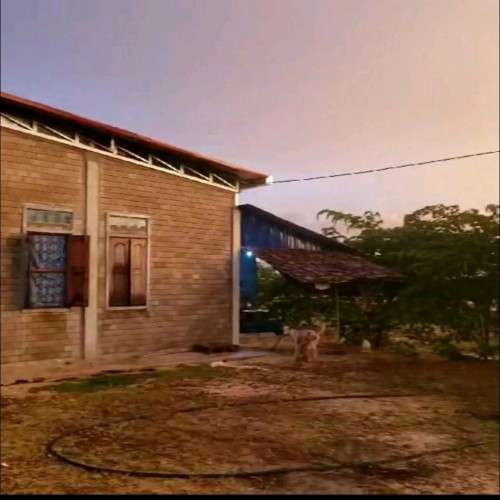 ផ្ទះនិងដីលក់