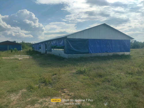 ផ្ទះនិងដីលក់