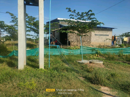 ផ្ទះនិងដីលក់