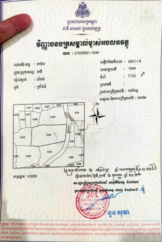 ដីលក់ តម្លៃល្អ ជិតផ្លូវជាតិលេខ៣