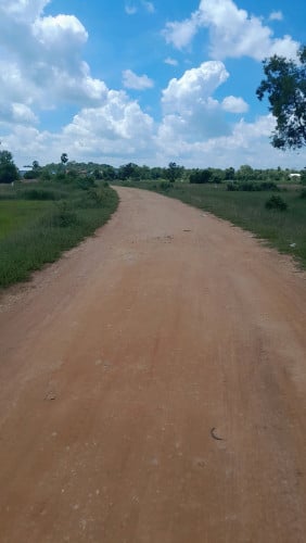 ដីប្លង់រឹង ជាប់ផ្លូវ30m
