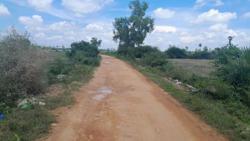 ដីប្លង់រឹង ជាប់ផ្លូវ30m