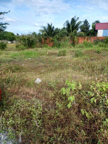 ដីលក់នៅក្រុងកំពត