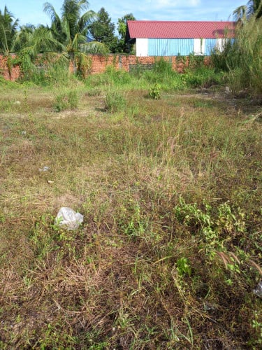 ដីលក់នៅក្រុងកំពត