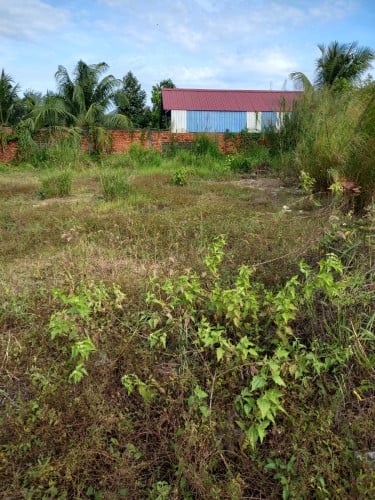 ដីលក់នៅក្រុងកំពត