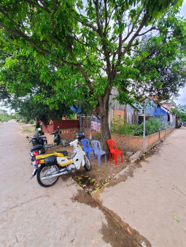 ដីស្វាយជ្រំផ្លូវបេតុង ត្រូវការលក់បន្ទាន់