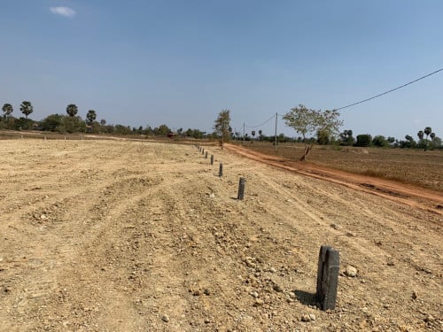 ដីលក់បន្ទាន់នៅកំពង់ស្ពឺ(15x25m)