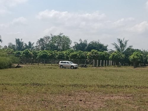 ដីត្រូវកាលក់តំលៃចចារ