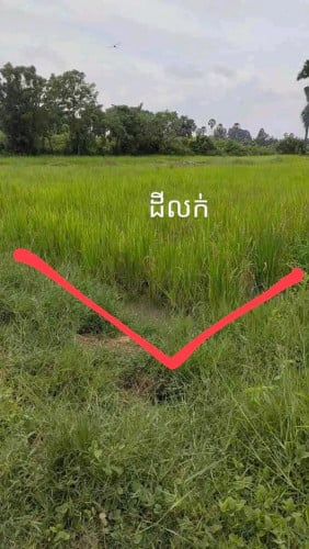 ដីលក់ បន្ទាន់